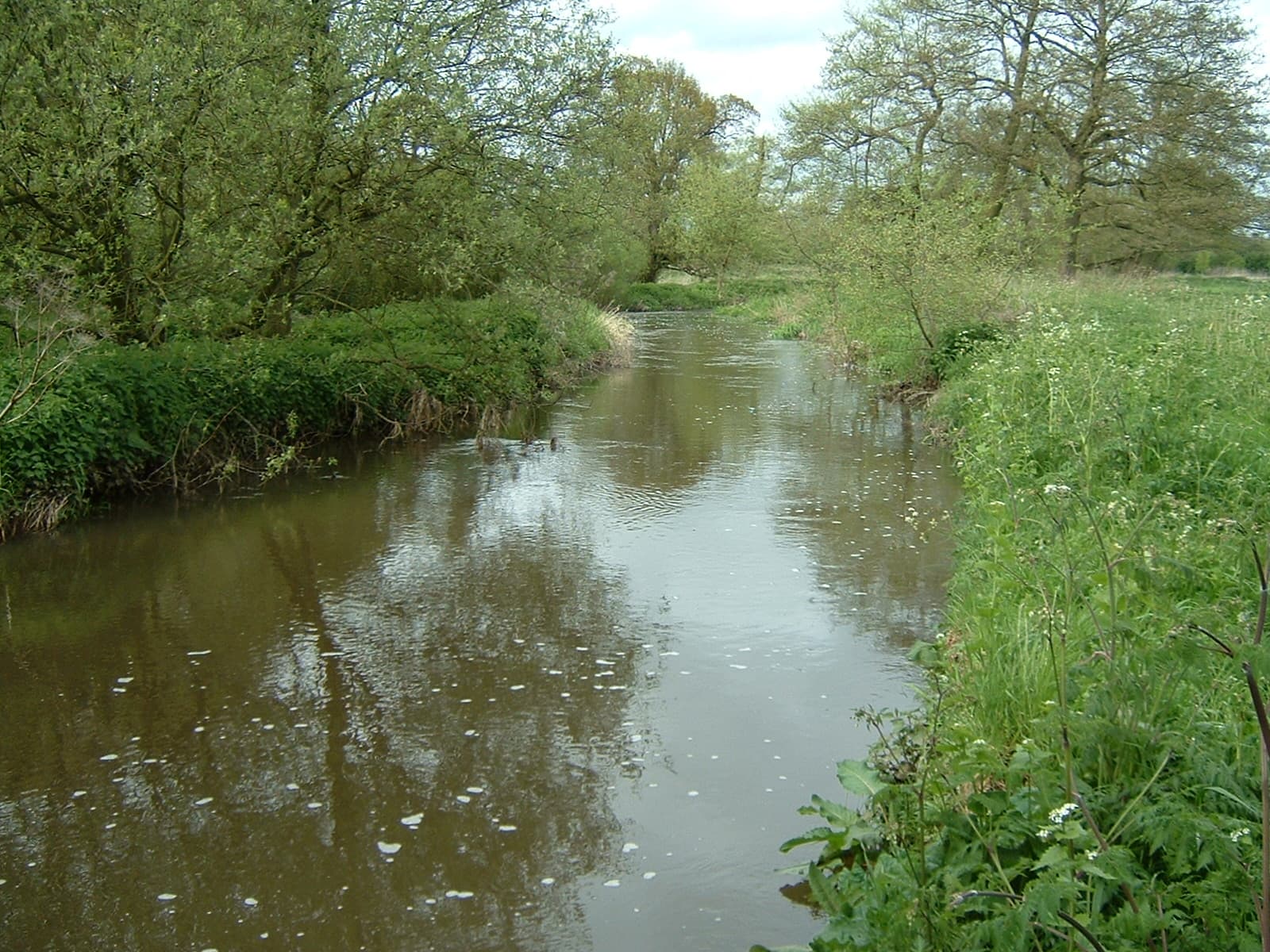 River Blithe
