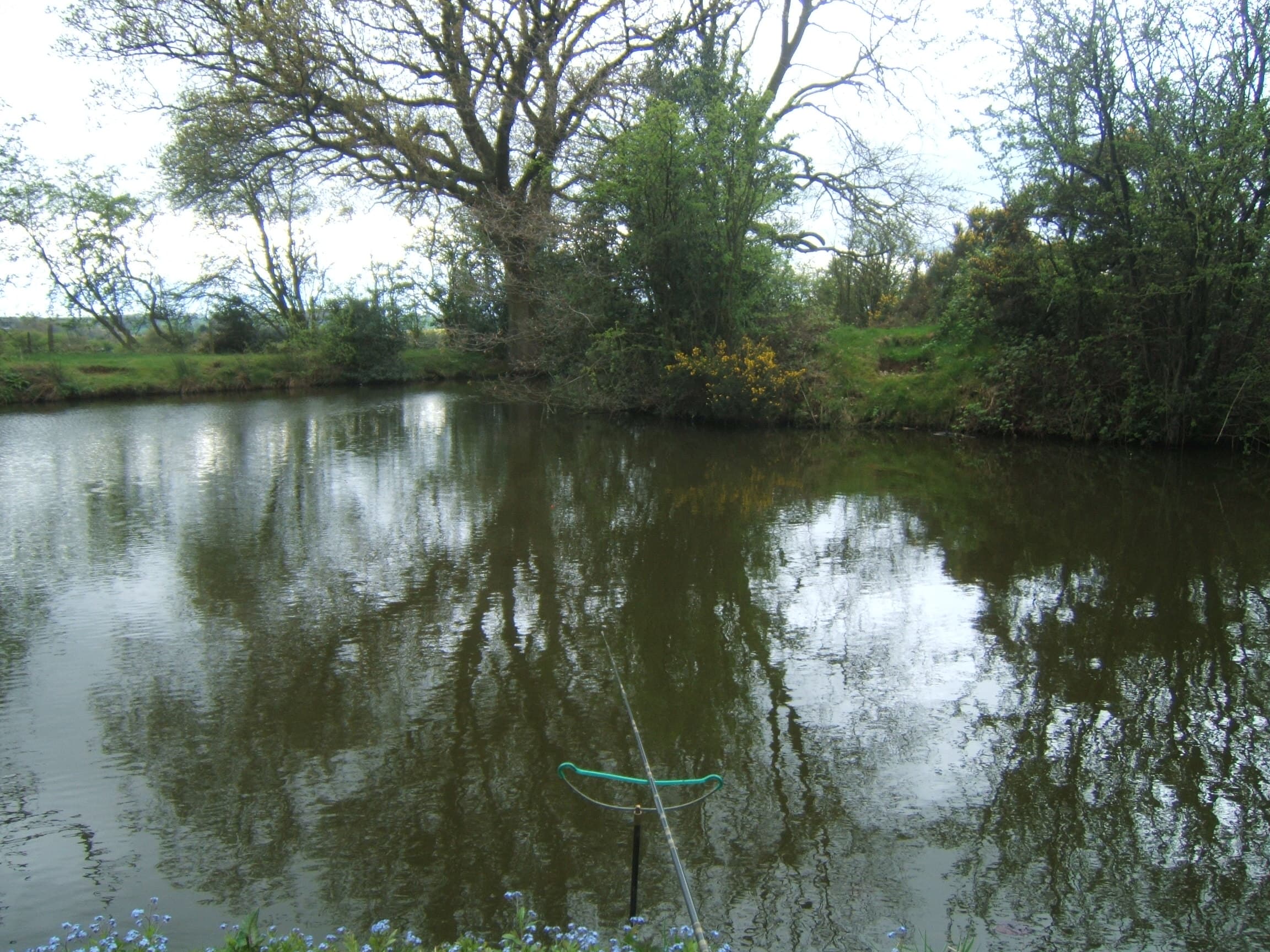 Bramshall Pool