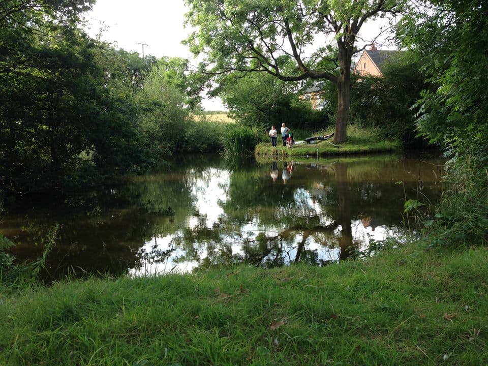 Bramshall Pool
