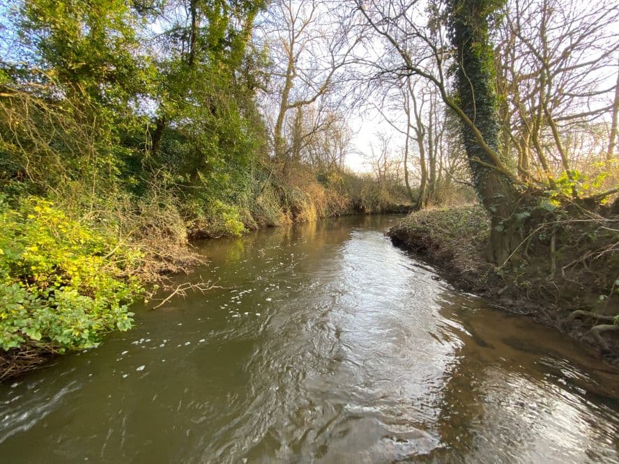 River Tean