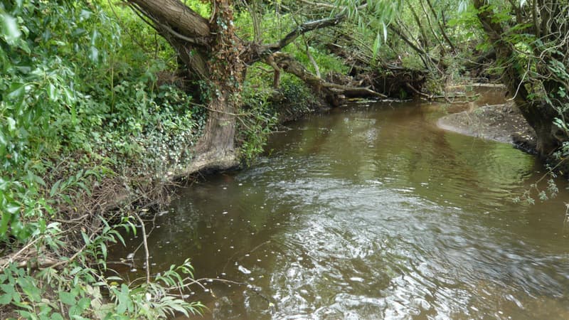 Gayton Brook