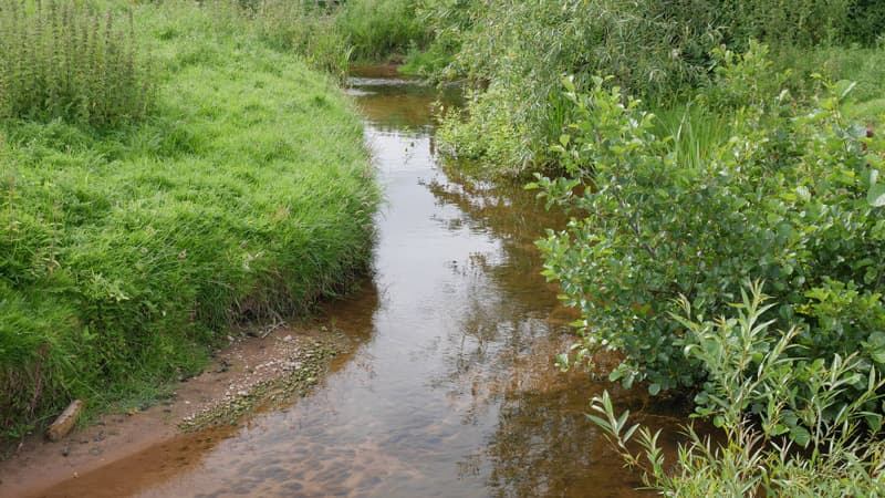 Gayton Brook