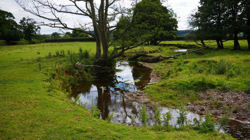 Gayton Brook