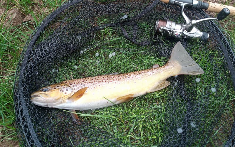 Gayton Brook