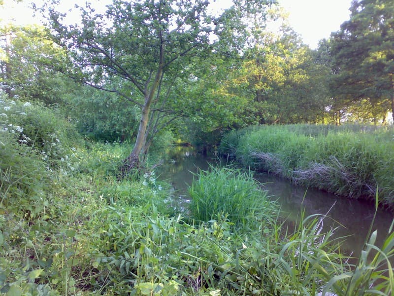 River Blithe