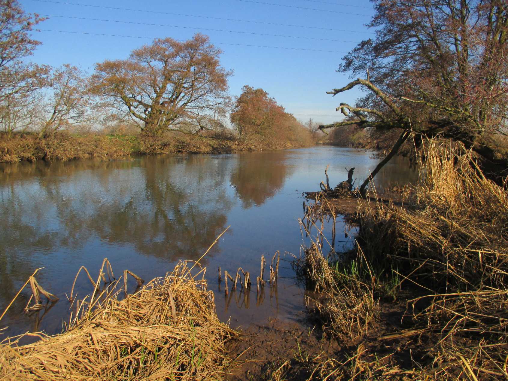 River Dove (Marchington)