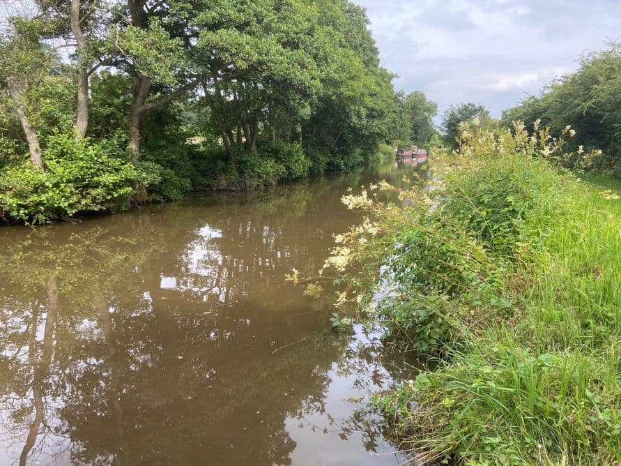 Trent & Mersey Canal