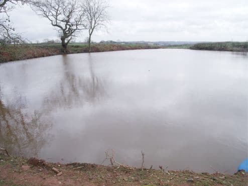 Field House Farm Pool
