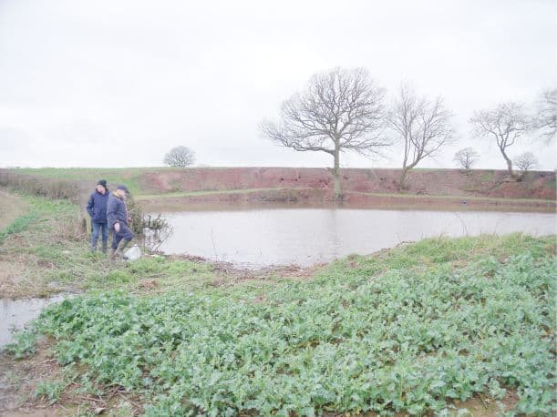 Field House Farm Pool